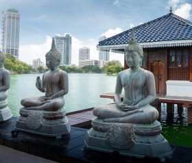 Sri Lanka to malownicza wyspa w Zatoce Bengalskiej, po brzegi wypełniona zapierającymi dech w piersiach widokami. Nic dziwnego, że coraz więcej turystów z całego świata właśnie tam spędza coroczne wakacje! Czego nie może zabraknąć na liście atrakcji w tym