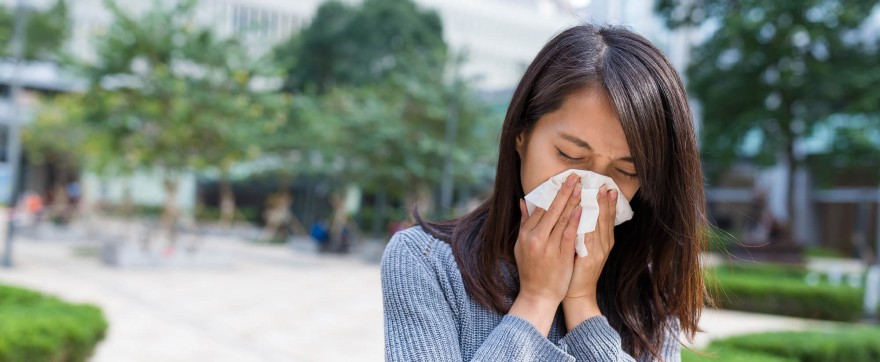 Alergia wziewna - czym jest i jak ją leczyć?