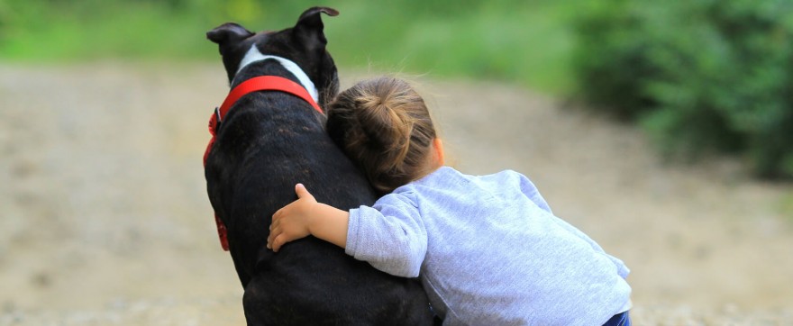 hipoterapia i dogoterapia dla dzieci