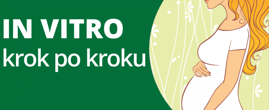 in vitro krok po kroku