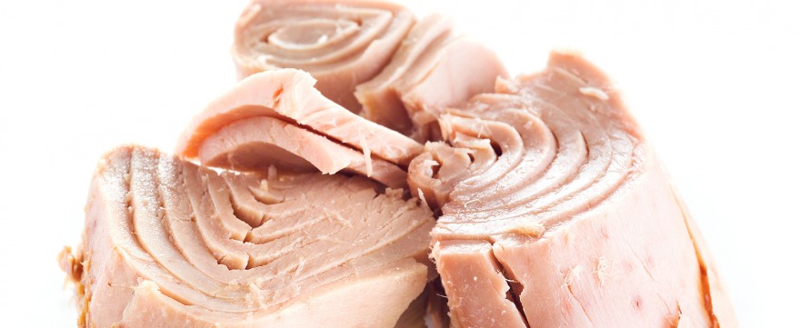 pasta z tuńczyka