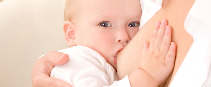 schemat żywienia niemowląt karmionych piersią