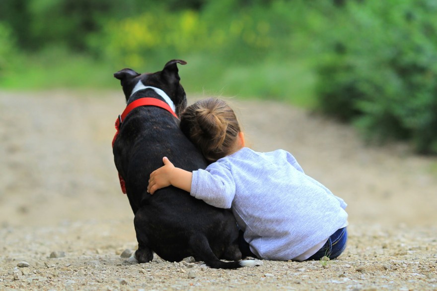 hipoterapia i dogoterapia dla dzieci