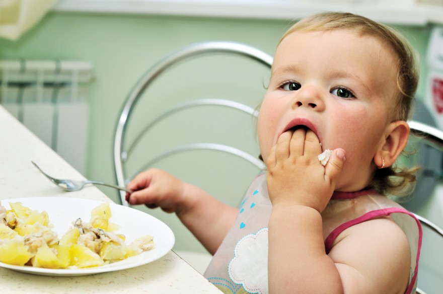 dziecko nie chce jeść niejadek